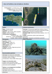 Lire la suite à propos de l’article Banc de Penthièvre, baie de Quiberon, Morbihan
