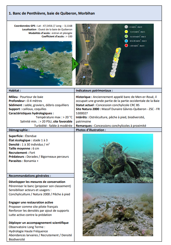 Lire la suite à propos de l’article Banc de Penthièvre, baie de Quiberon, Morbihan