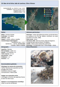 Lire la suite à propos de l’article Banc de la Grève, baie de Lancieux, Côtes d’Armor