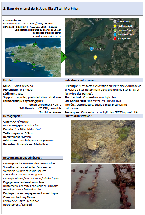 Lire la suite à propos de l’article Banc du chenal de St Jean, Ria d’Etel, Morbihan