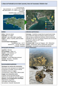 Lire la suite à propos de l’article Banc de Penfoulic (et de Saint Laurent), Anse de Fouesnant, Finistère Sud