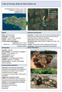 Lire la suite à propos de l’article Banc du Perennou, rivière de l’Odet, Finistère Sud