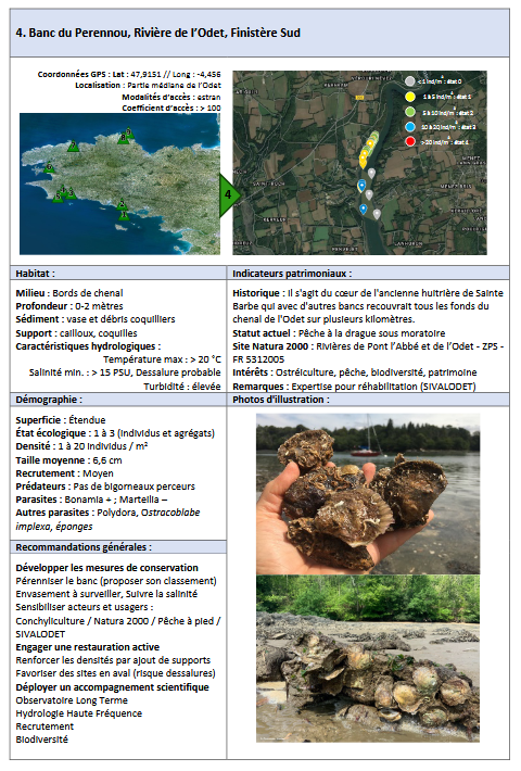 Lire la suite à propos de l’article Banc du Perennou, rivière de l’Odet, Finistère Sud