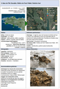 Lire la suite à propos de l’article Banc de l’Île Chevalier, Rivière de Pont l’Abbé, Finistère Sud