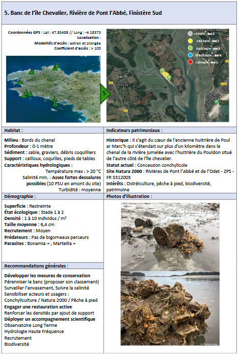 Lire la suite à propos de l’article Banc de l’Île Chevalier, Rivière de Pont l’Abbé, Finistère Sud