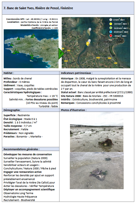 Lire la suite à propos de l’article Banc de Saint Yves, Rivière de Penzé, Finistère