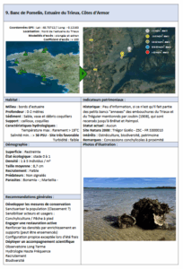 Lire la suite à propos de l’article Banc de Pomelin, Estuaire du Trieux, Côtes d’Armord