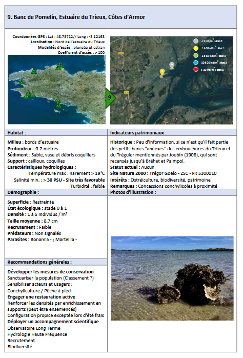 Lire la suite à propos de l’article Banc de Pomelin, Estuaire du Trieux, Côtes d’Armord